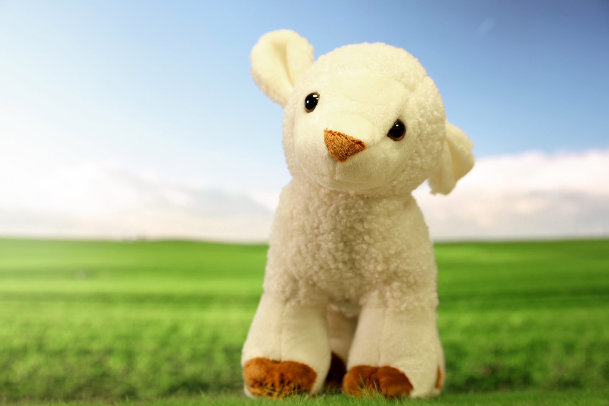 CONCOURS MARS: Tentez de gagner un BLF Mouton