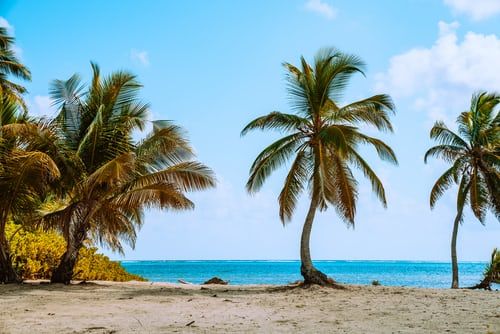 Quel livre biblique Dominique Angers emporterait sur une île déserte?