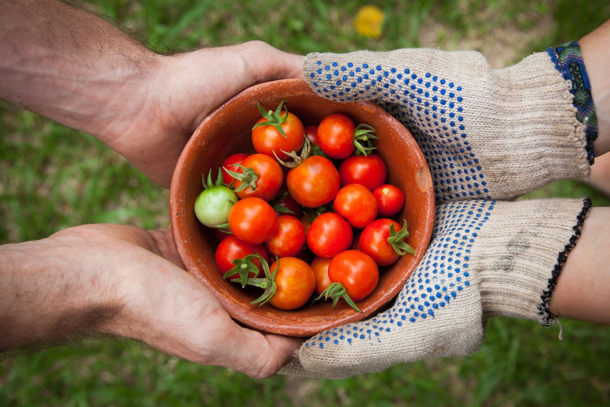 La générosité: fruit de la vie nouvelle en Christ?